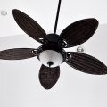 ceiling fan installation