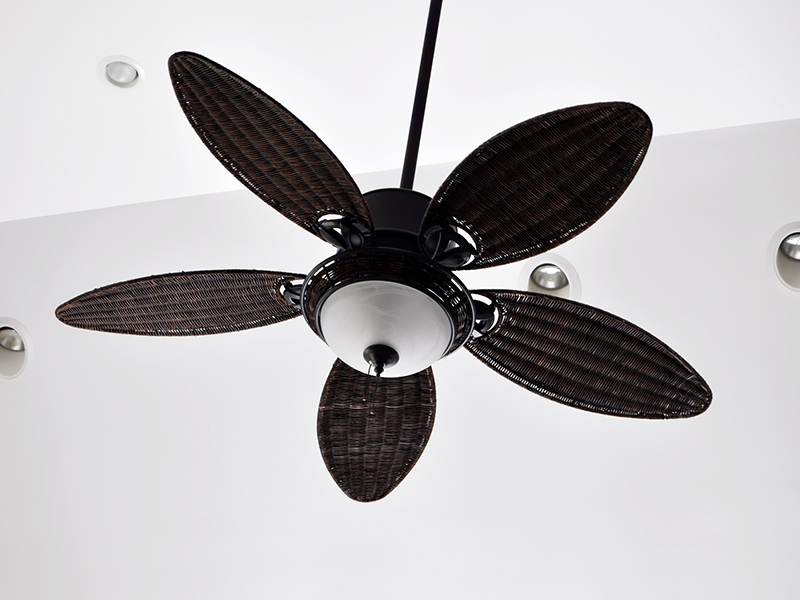 ceiling fan installation